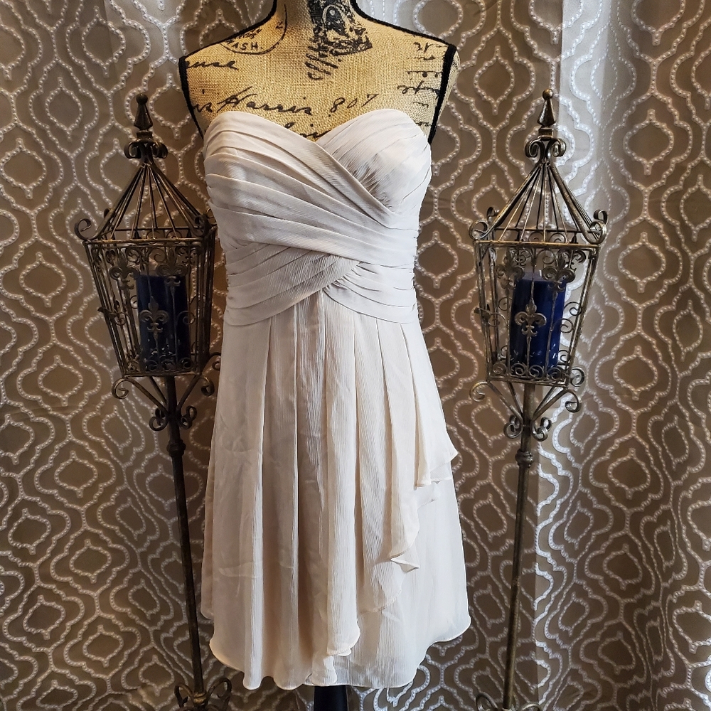David's Bridal Champagne Cocktail Dress